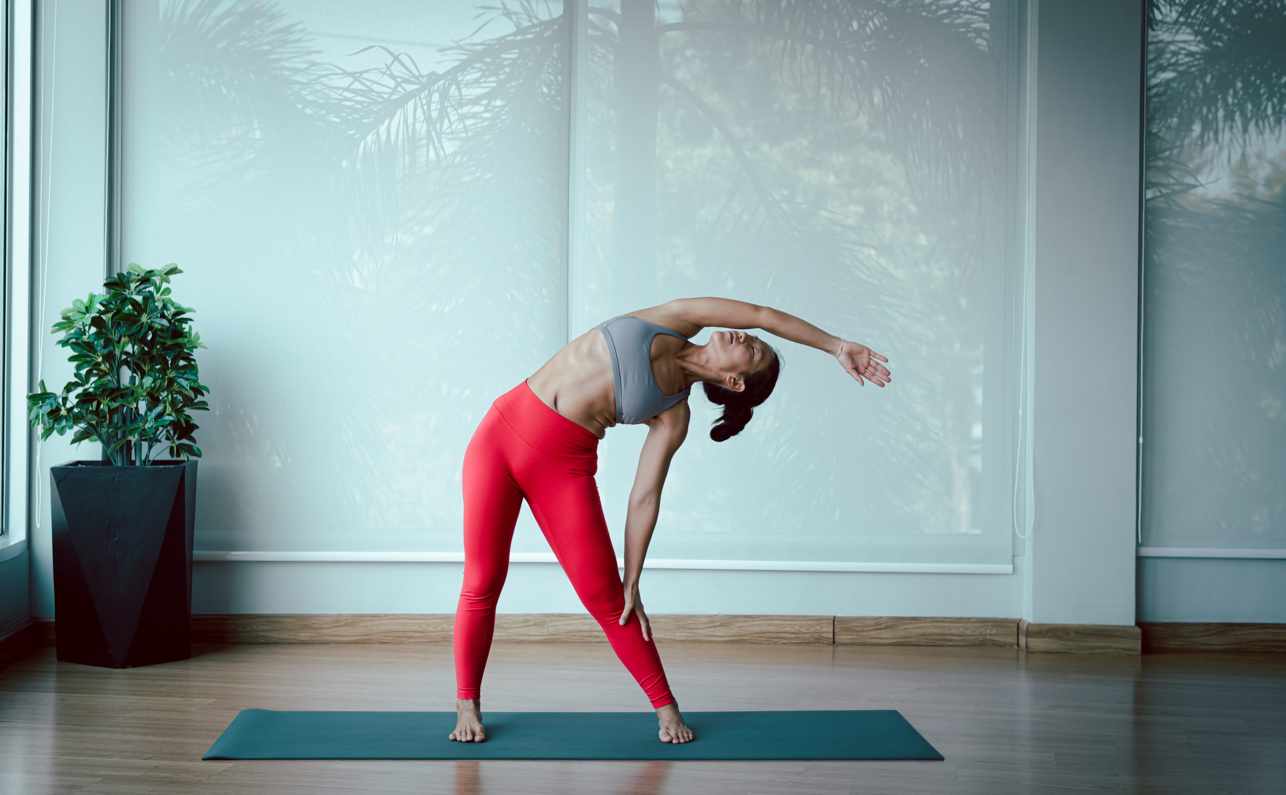 sport-woman-wearing-sport-suite-practice-asana-med-2023-11-27-05-05-59-utc
