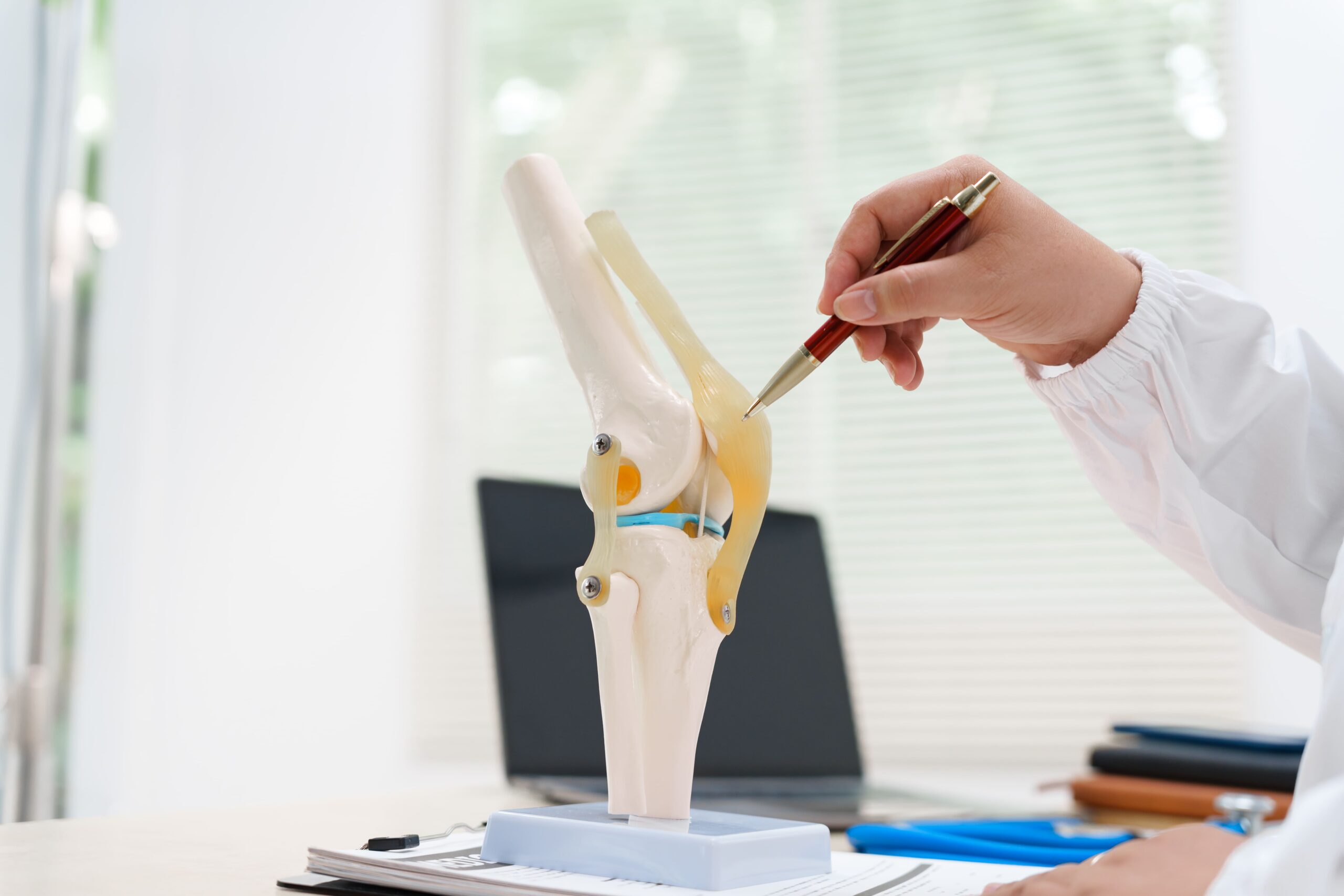 anatomical-model-being-analyzed-in-a-medical-setti-2026-01-08-06-36-17-utc (1)