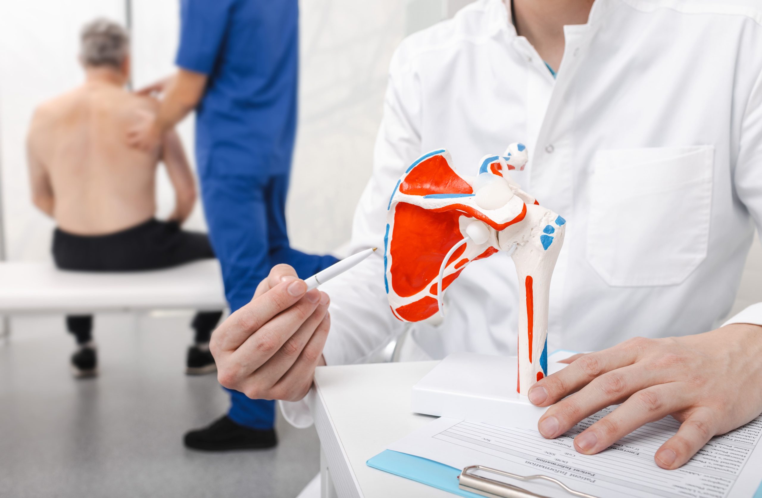 A doctor explaining shoulder anatomy using a model while a patient is seated in the background.